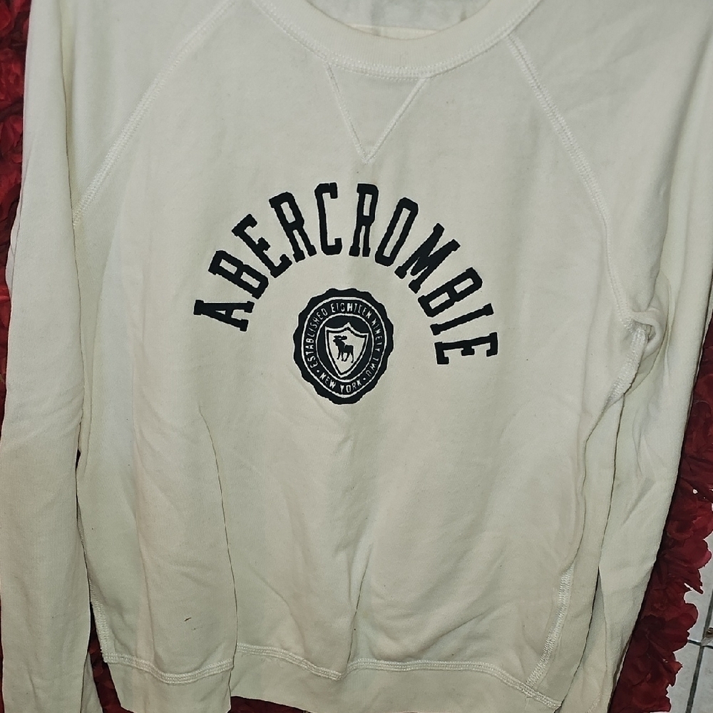 Abercrombie & Fitch White Label Fleece Lined Sweatshirt Size Large